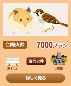 �����Α�7000�v����