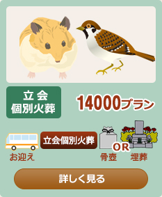 ����ʉΑ�14000�v����