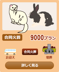 �����Α�9000�v����