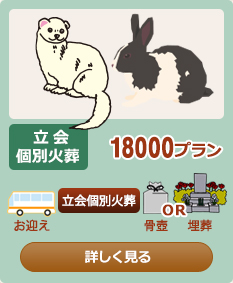 ����ʉΑ�18000�v����