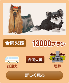 �����Α�13000�v����