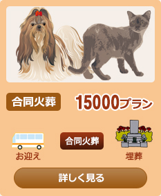 �����Α�15000�v����