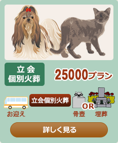 ����ʉΑ�25000�v����