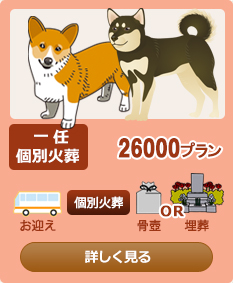 ��C�ʉΑ�26000�v����