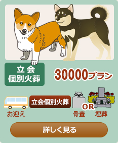 ����ʉΑ�30000�v����