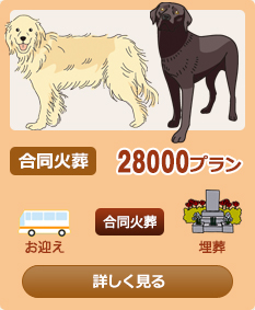 �����Α�28000�v����