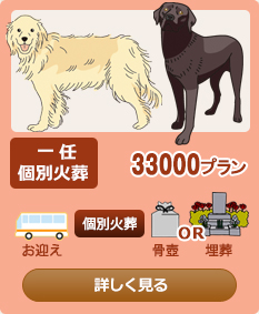 ��C�ʉΑ�33000�v����