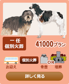 ��C�ʉΑ�44000�v����